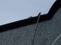 A1 WINDOW and GUTTER CLEANERS 357406 Image 8